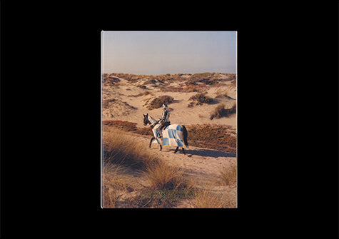 Stüssy Spring '20 Poster Book by Colin Dodgson