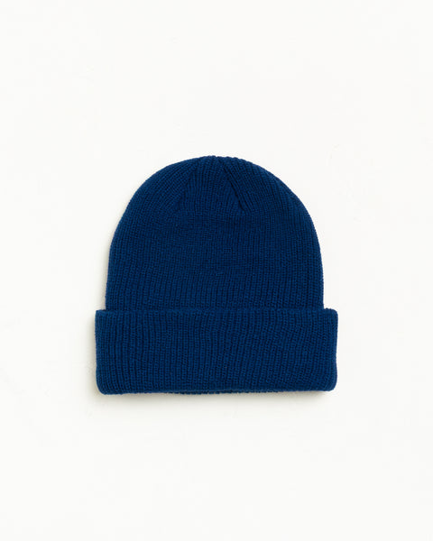 Basic Cuff Beanie Unisex In Blueberry