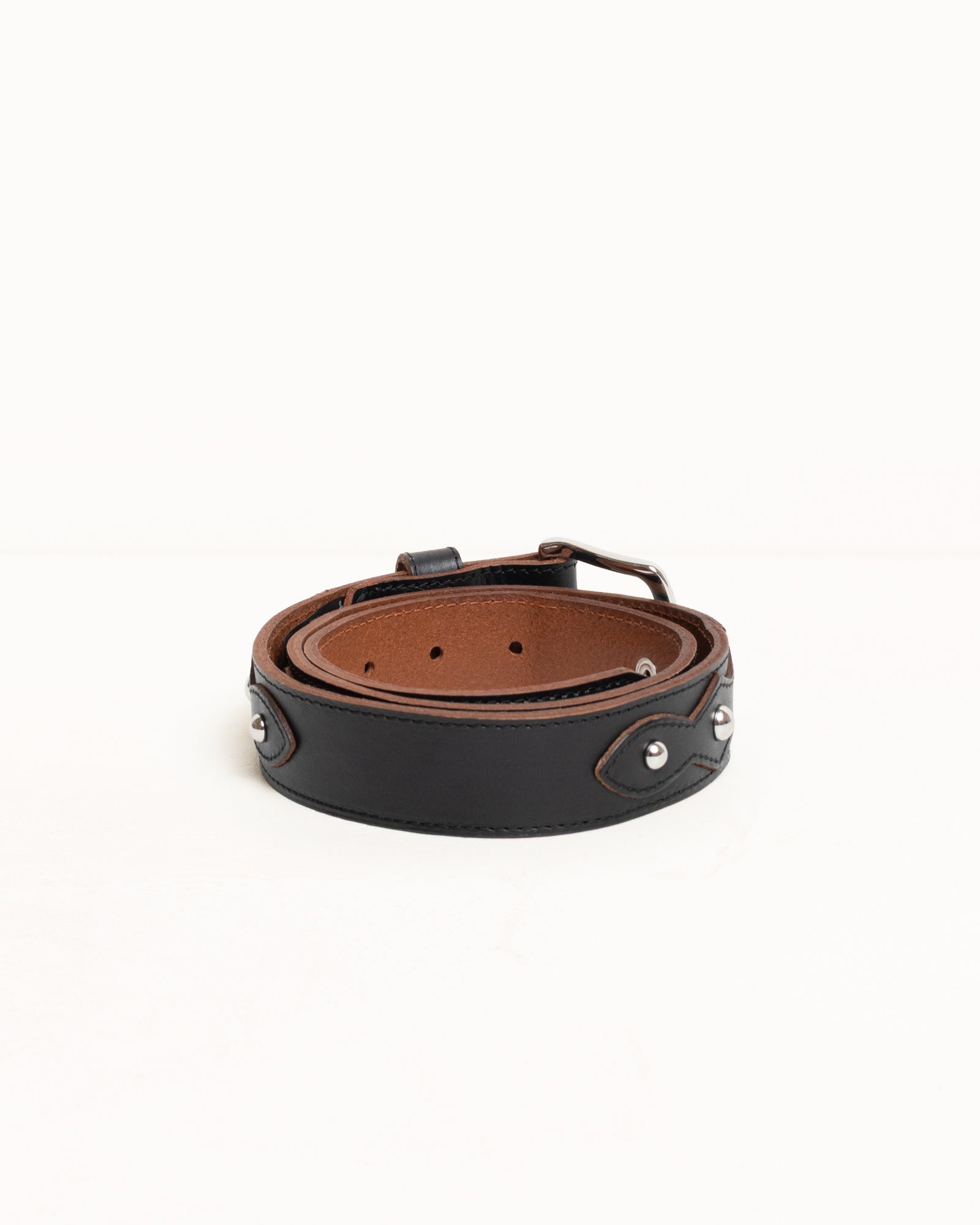 Rodeo Dress Belt Accessories In Black