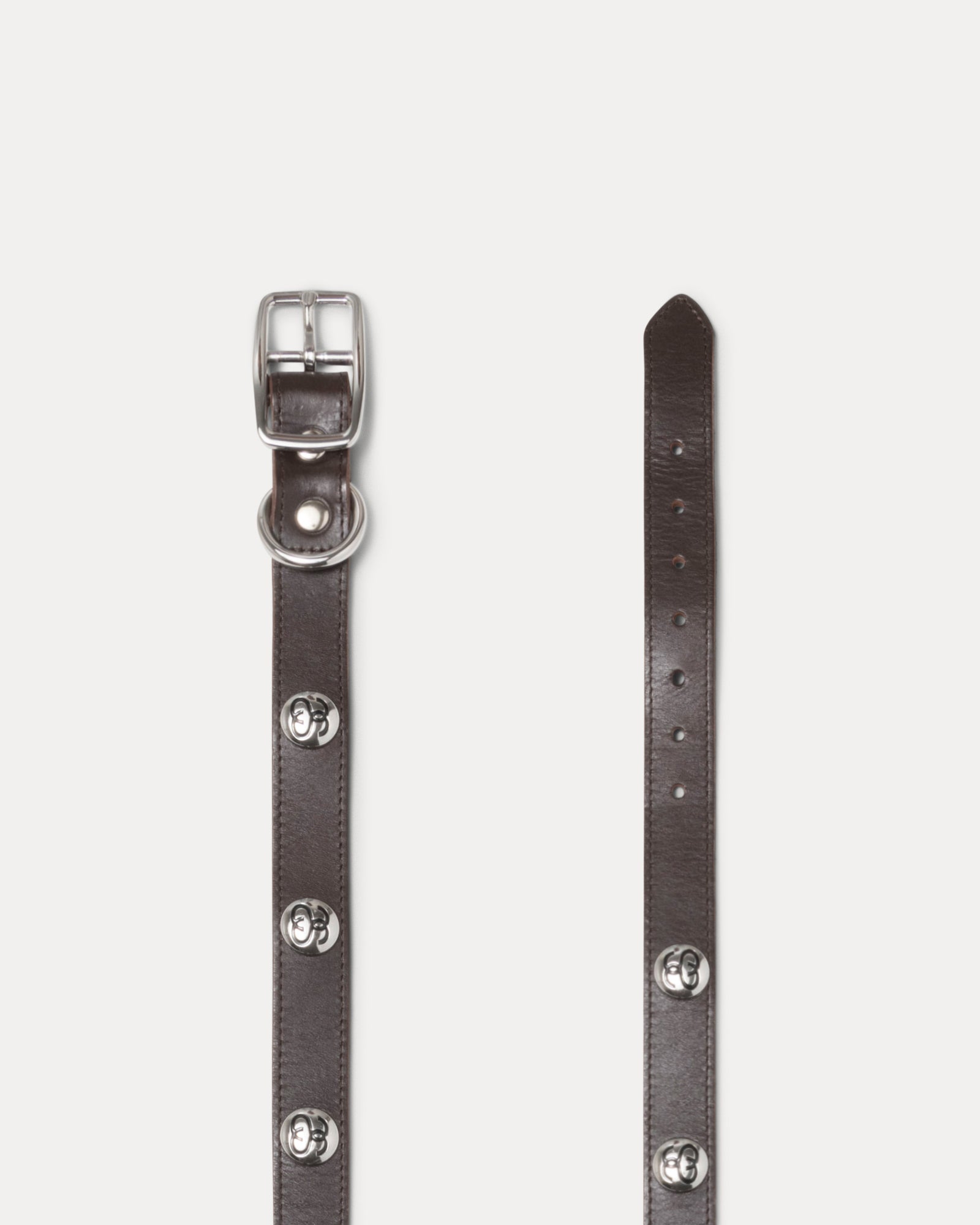 Ss Link Studded Dog Collar Accessories In Brown