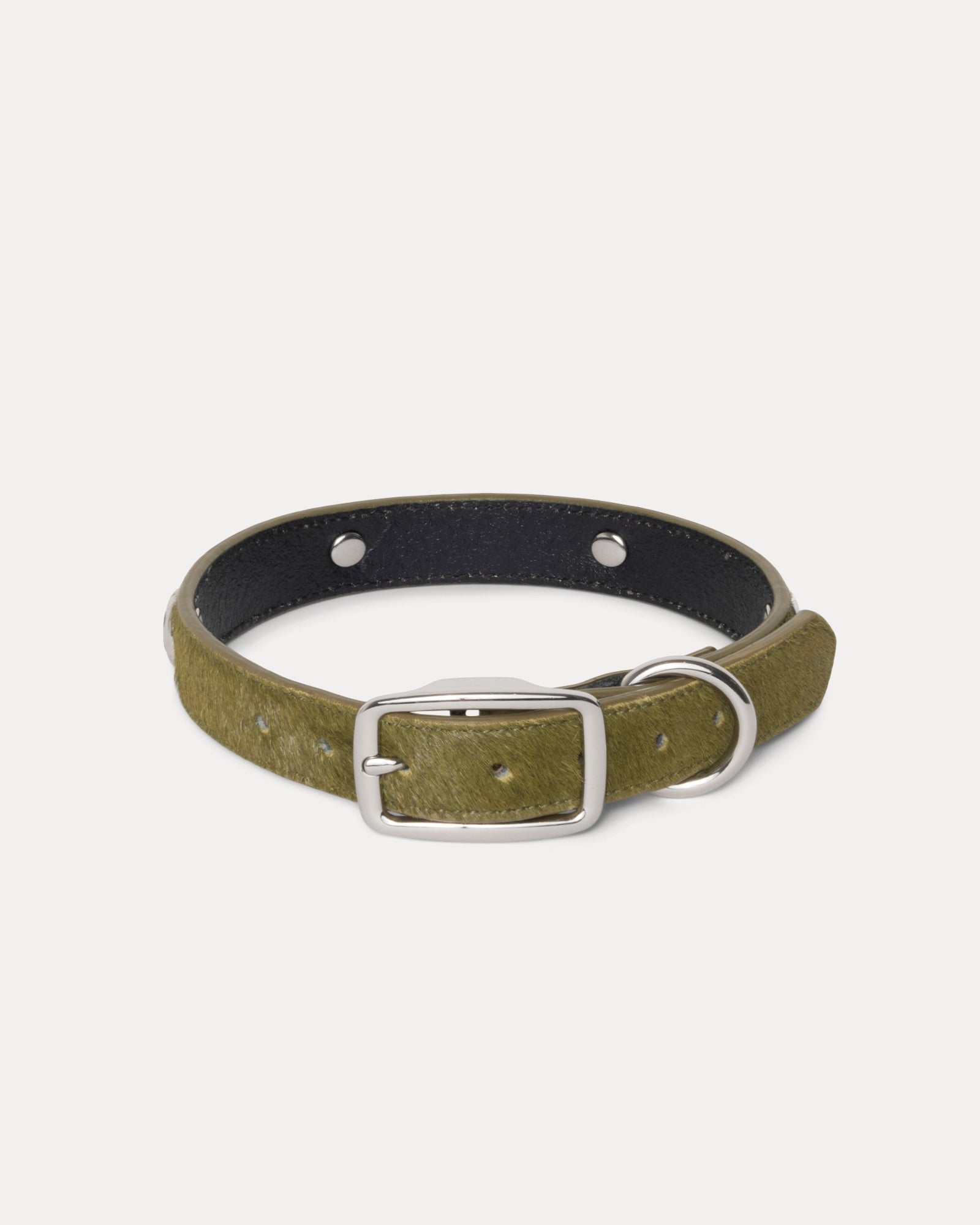Ss Link Studded Dog Collar Accessories In Hairy Moss