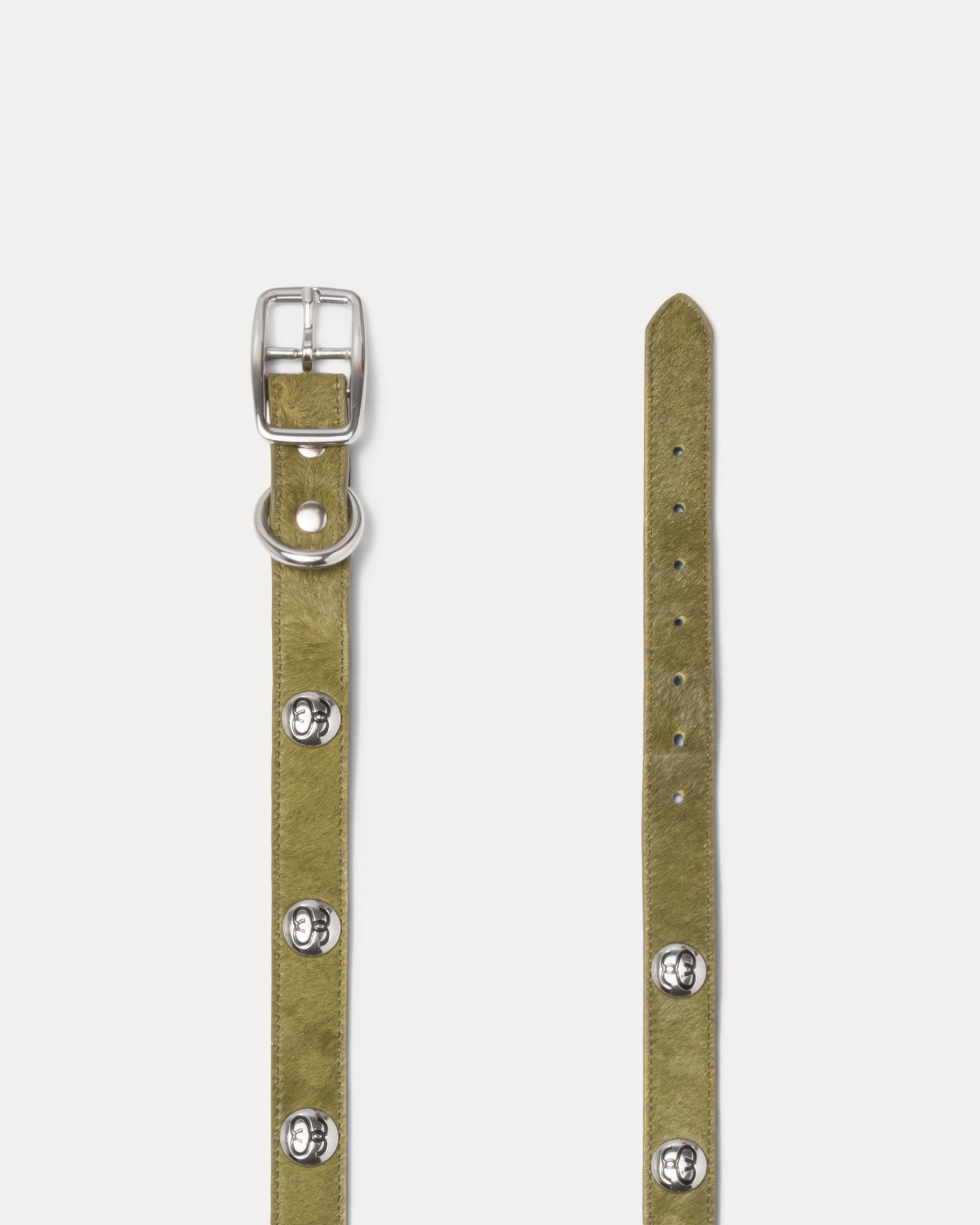 Ss Link Studded Dog Collar Accessories In Hairy Moss
