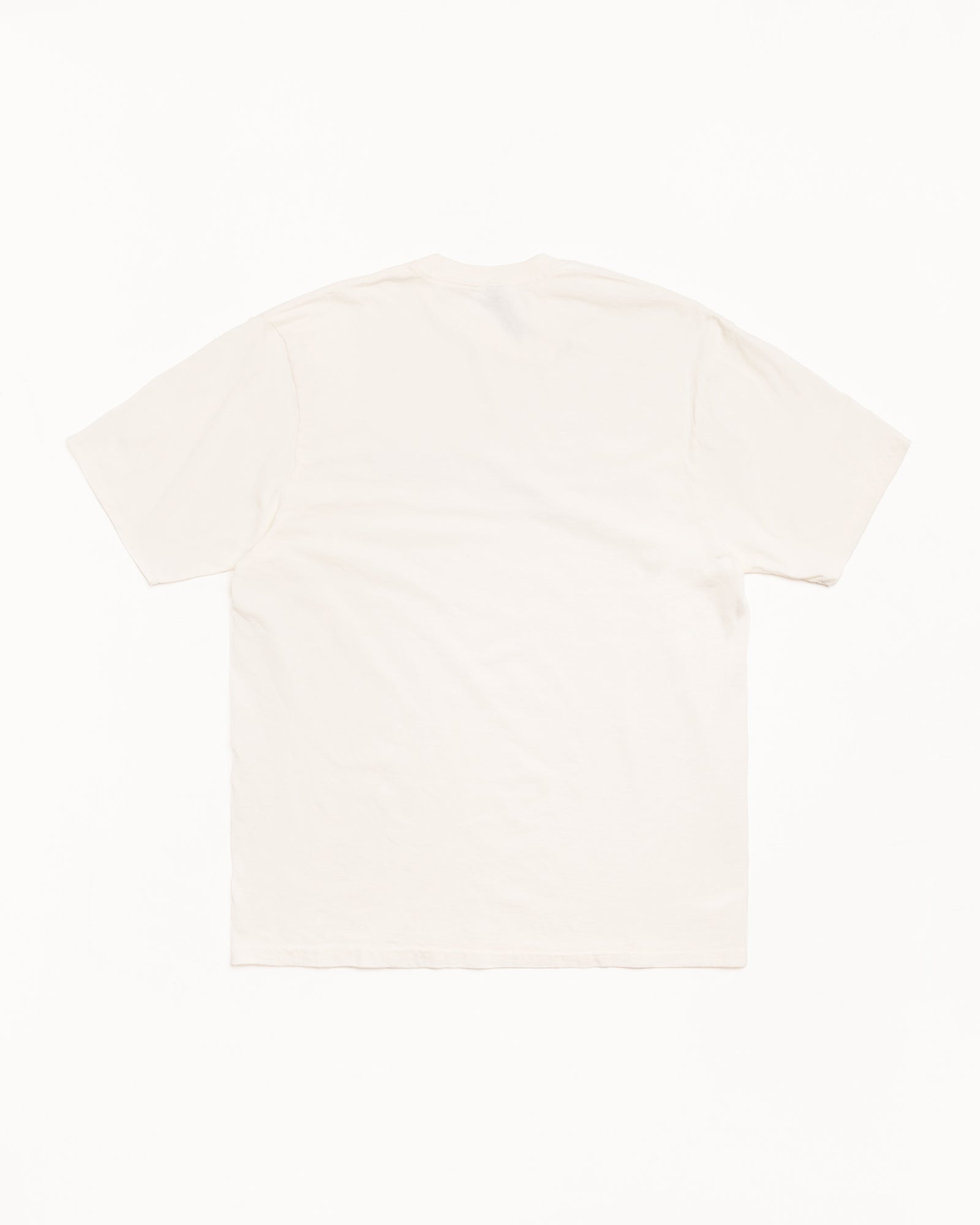 Stretch Pig. Dyed Tee Mens Short Sleeve In Natural
