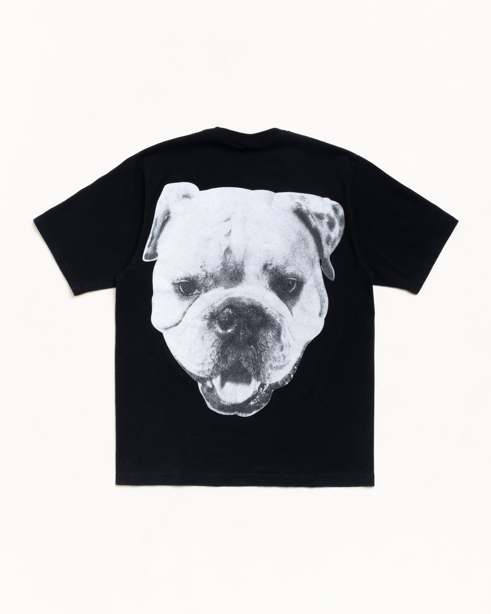 Big Dog Stone Washed Tee – Black | Tees | Stüssy Canada
