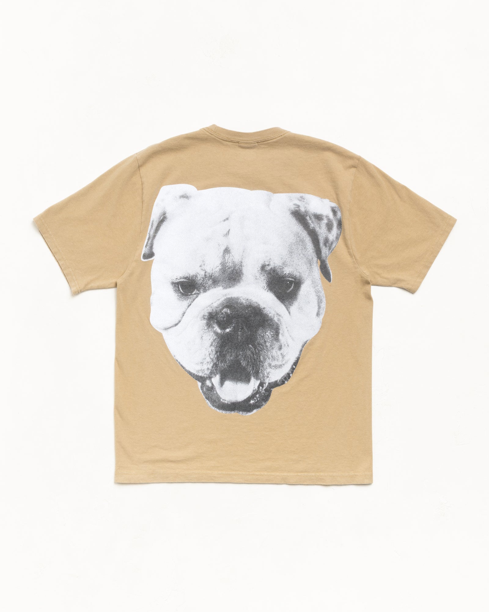 Big Dog Stone Washed Tee – Khaki | Tees | Stüssy Canada
