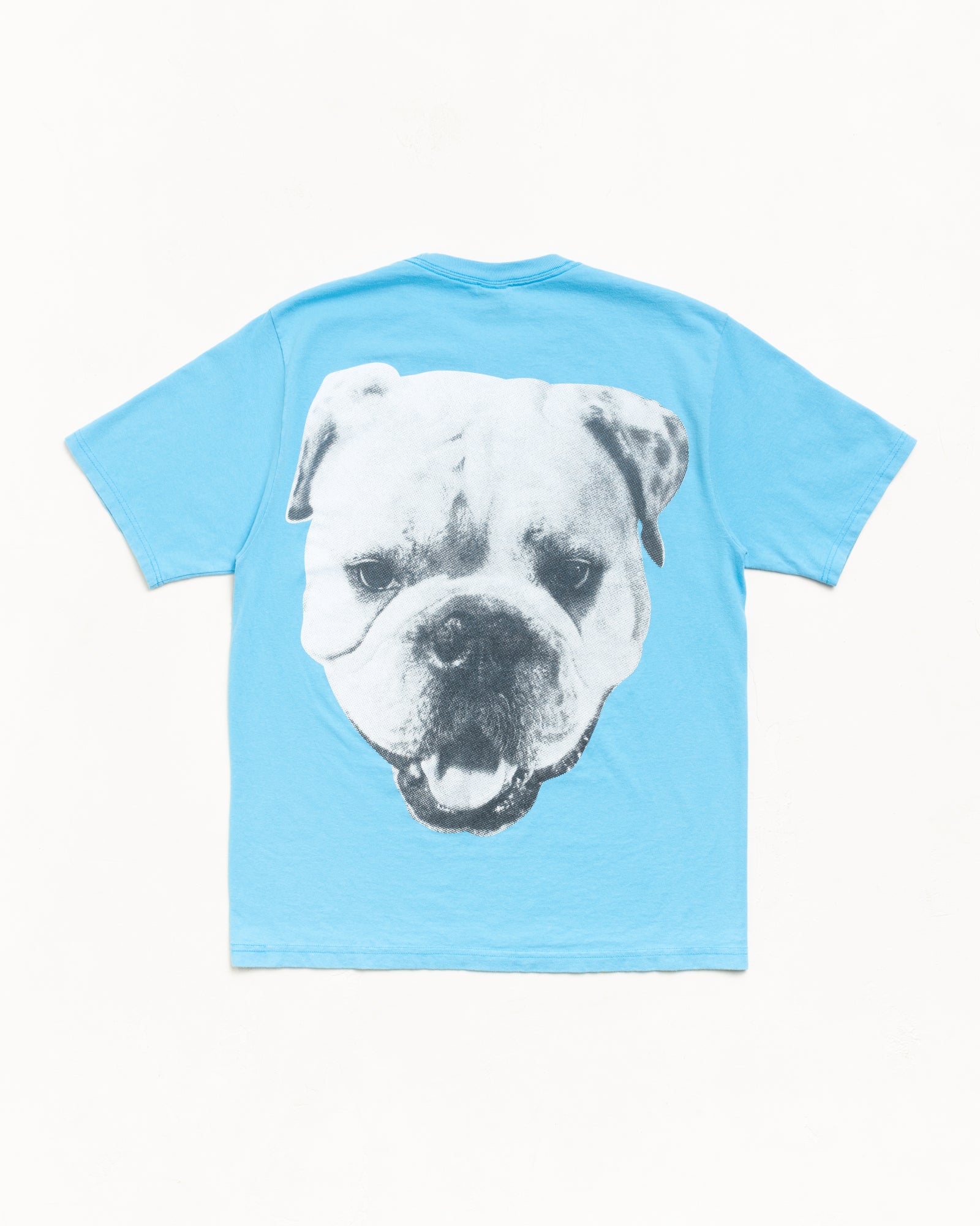 Big Dog Stone Washed Tee – Sky Blue | Tees | Stüssy Canada
