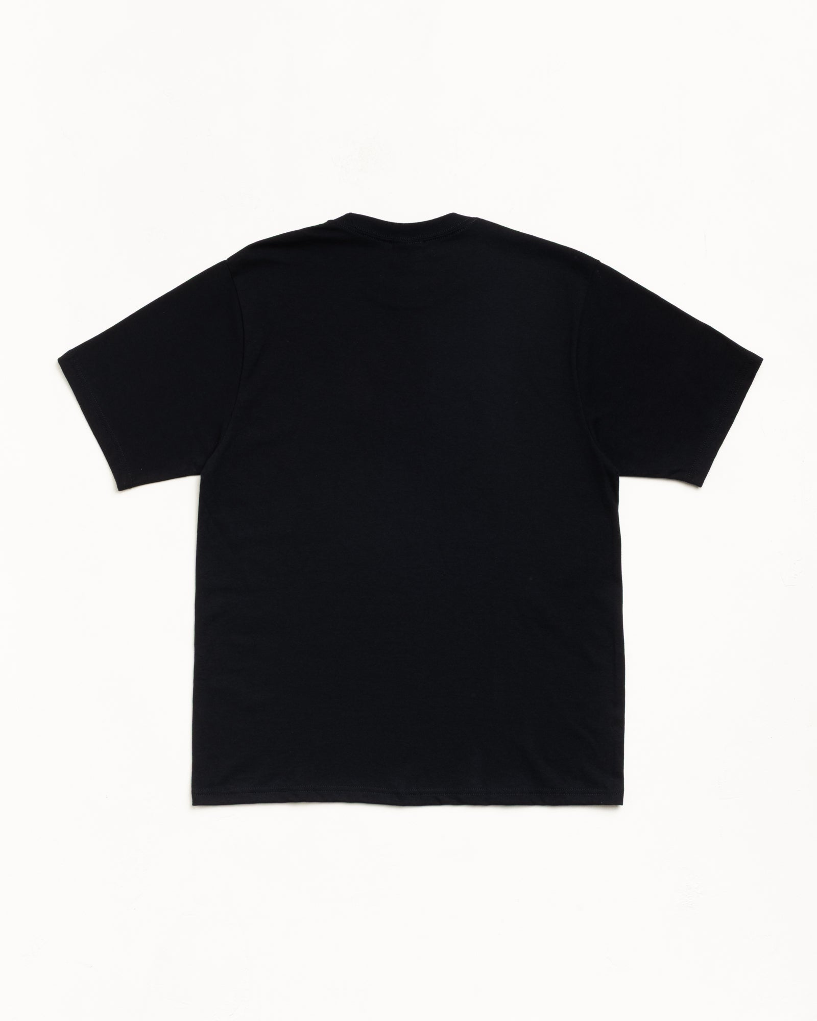 Citrus Tee – Black | Tees | Stüssy Canada