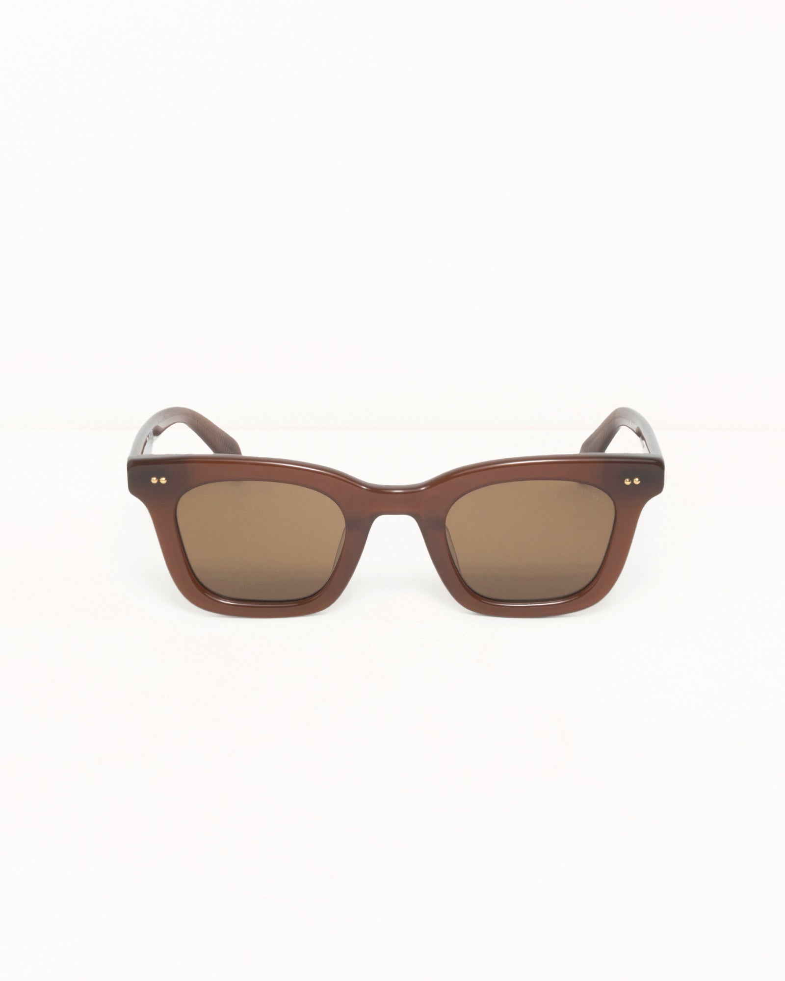 Ace Sunglasses Accessories In Dark Brown/brown Lens