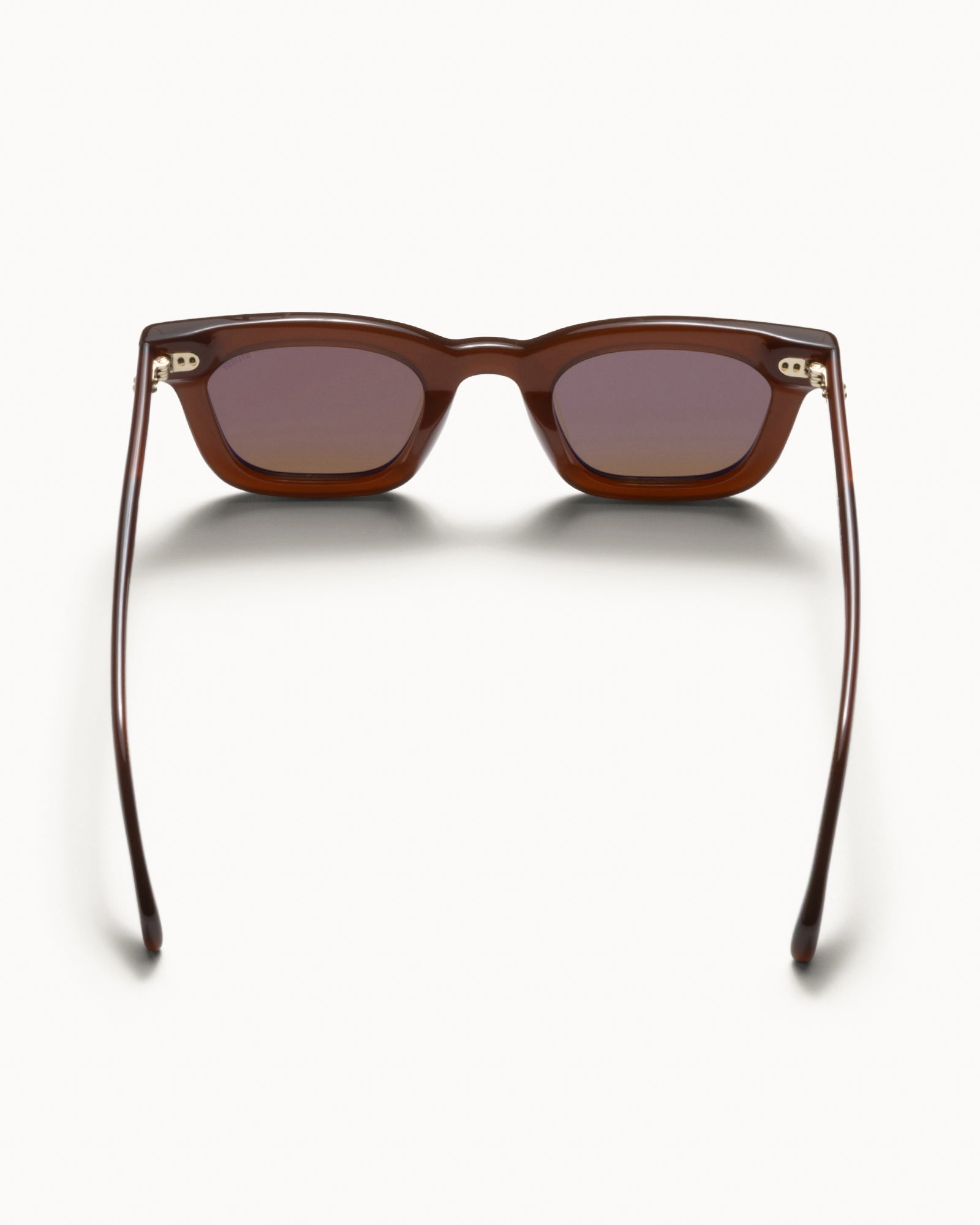 Ace Sunglasses Accessories In Dark Brown/brown Lens