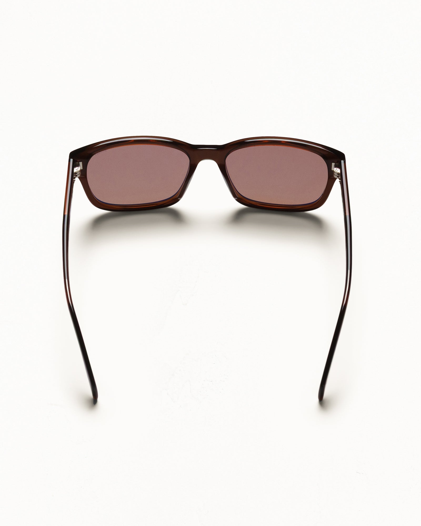 Alan Sunglasses – Brown / Brown Lens | Accessories | Stüssy Canada