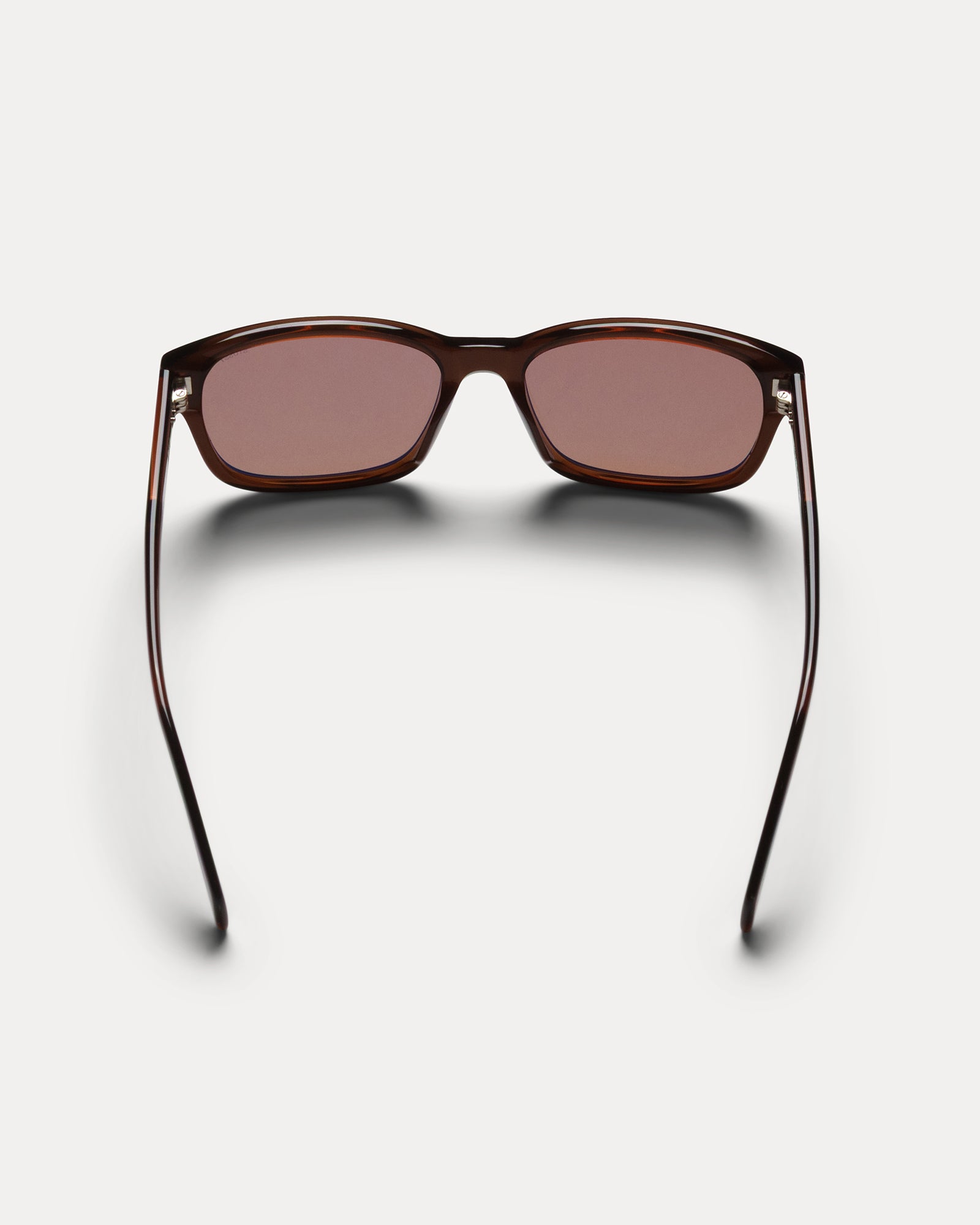Alan Sunglasses Accessories In Brown / Brown Lens