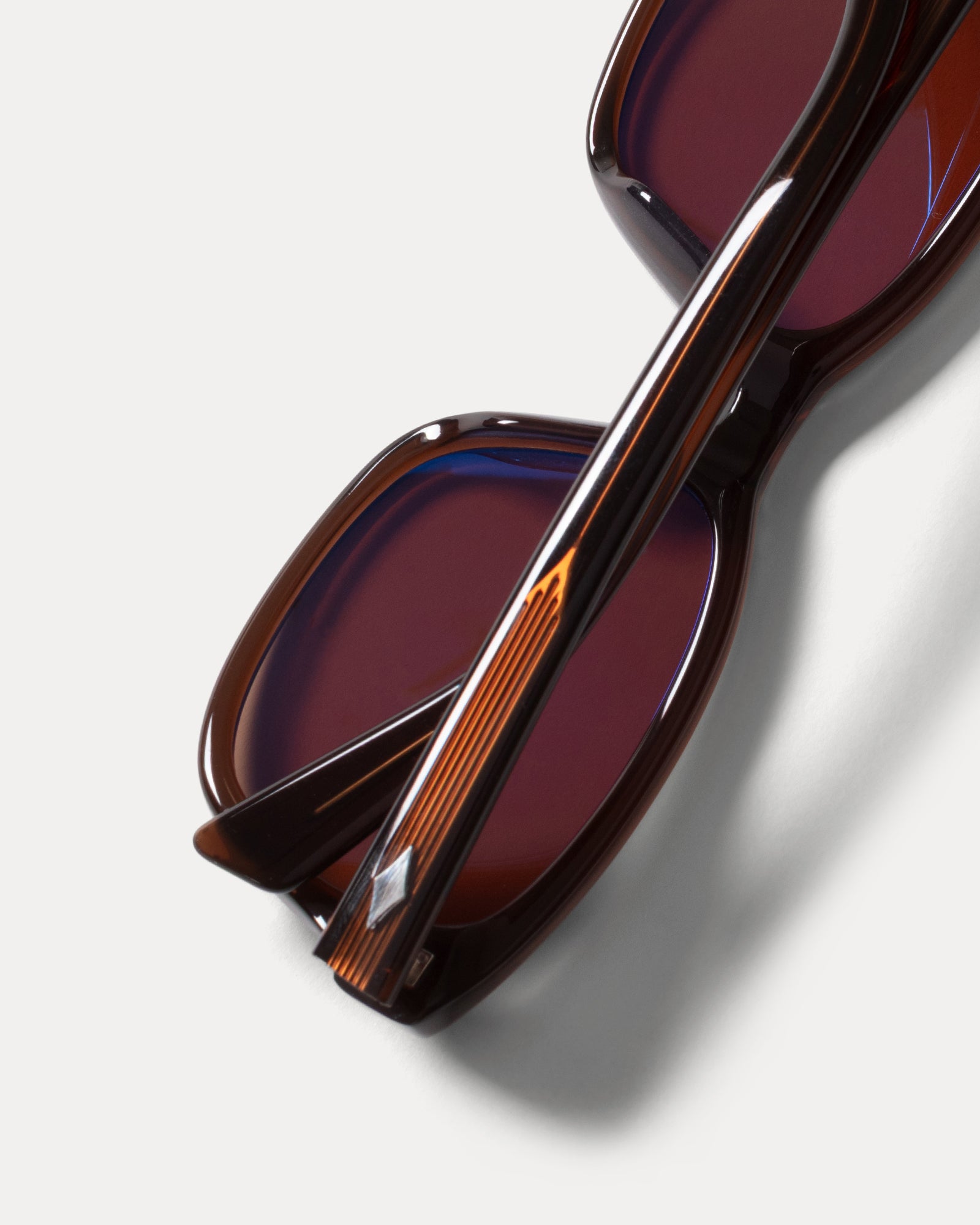 Alan Sunglasses Accessories In Brown / Brown Lens