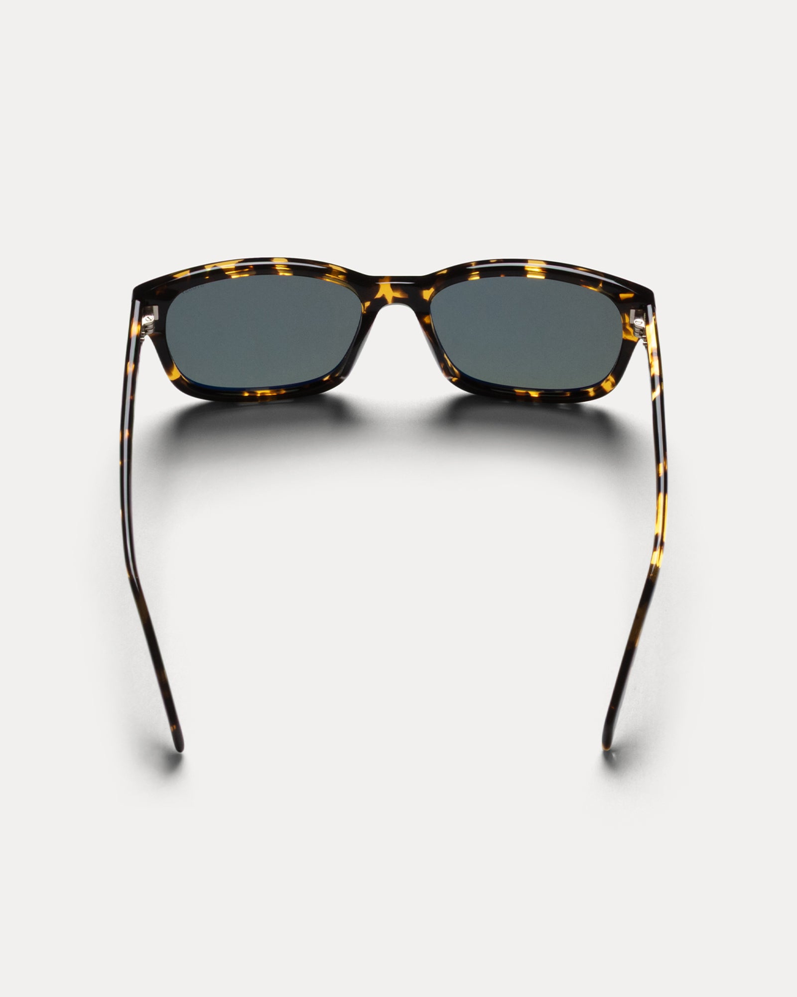 Alan Sunglasses Accessories In Olive Tortoise / Green Lens
