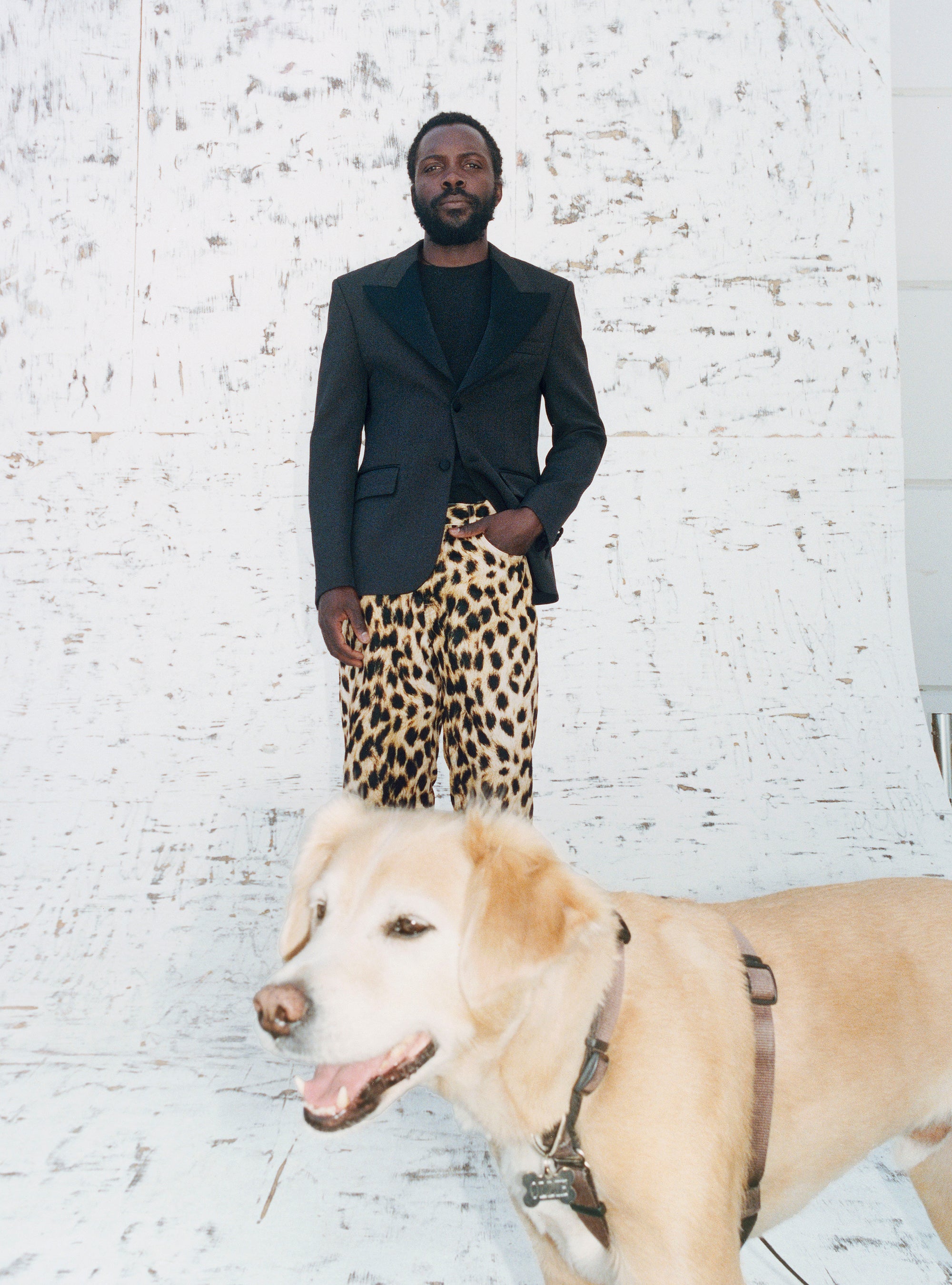 Stüssy Fall '26 Collection – Stüssy Canada